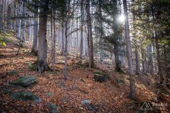 img_1201