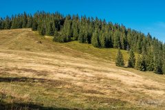 img_1207