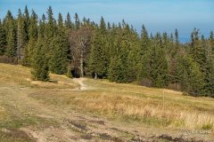 img_1208