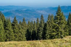 img_1211