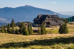 img_1212