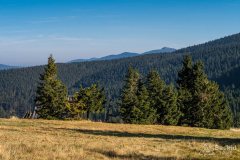 img_1222