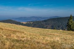img_1223