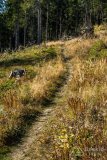 img_1233