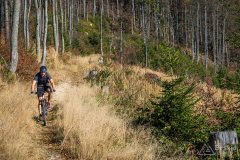 img_1237