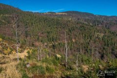 img_1240
