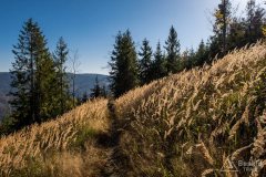 img_1244