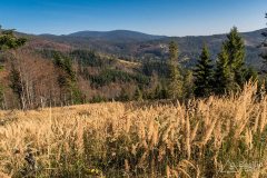 img_1246