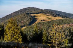 img_1260