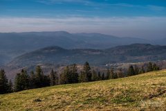 img_1263