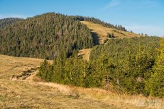 img_1265