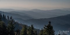 img_1267