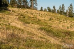img_1271