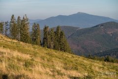 img_1274
