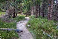 img_1297