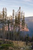 img_1303