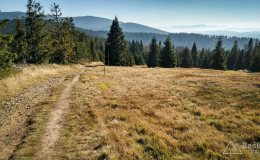 IMG_20191027_102848
