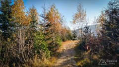 IMG_20191027_091451