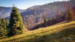 IMG_20191027_092514