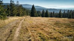 IMG_20191027_102848