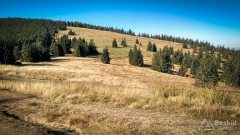 IMG_20191027_110537