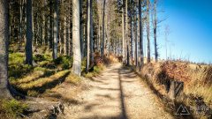 IMG_20191027_125541
