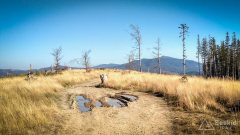 IMG_20191027_125906