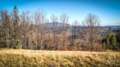 IMG_20191027_130838