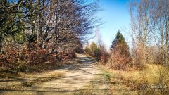 IMG_20191027_130844