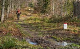 Niebieski szlak graniczny na Grubą Buczynę