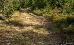 Na niebieskim szlaku granicznym Krawców Wierch - Trzy Kopce