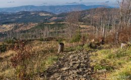 Niebieski szlak z Romanki na Słowiankę - widok na Beskid Śląski