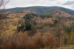 Wierch Wisełka (w środku) i Barania Góra (z prawej), ze szlaku rowerowego wokół Czerwieńskiej Grapy