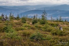 Czarny szlak ze Złatnej na Baranią Górę (widok na południe)