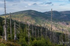 Widok z czerwonego szlaku na Gawlasi i Zielony Kopiec