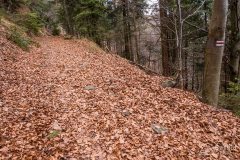 Czerwony szlak z Glinnego do Węgierskiej Górki (środkowy odcinek)