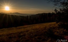 Zjazd z Jałowca w kierunku Czerniawy Suchej