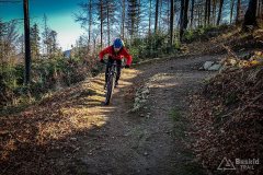 Tabakowy (Babia Góra Trails) (fot. El)