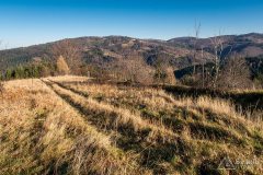 Początek podjazdu z Koszarawy Bystra na Kalików Groń