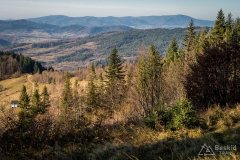 Na zielonym szlaku z Koszarawy na Mędralową