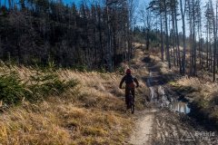 Na zielonym szlaku z Koszarawy na Mędralową