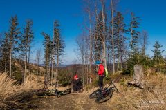 Na zielonym szlaku z Koszarawy na Mędralową