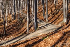 Zimna dziura  (Babia Góra Trails)