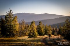 Zjazd z Jałowca w kierunku Czerniawy Suchej