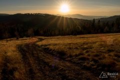 Zjazd z Jałowca w kierunku Czerniawy Suchej