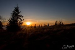 Pod szczytem Lachów Gronia