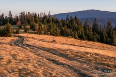 Pod szczytem Lachów Gronia