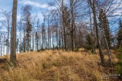 Okolice Przełęczy Cisowej