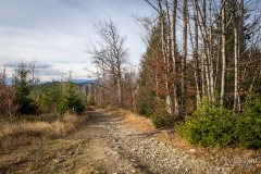 Na czerwonym szlaku na Kocierz