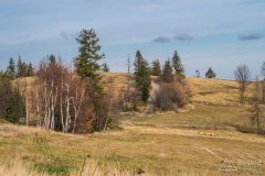 Widok z Potrójnej na północ